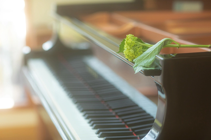 体験レッスン受付中